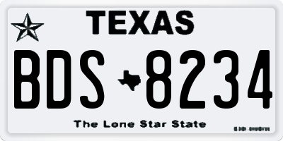 TX license plate BDS8234
