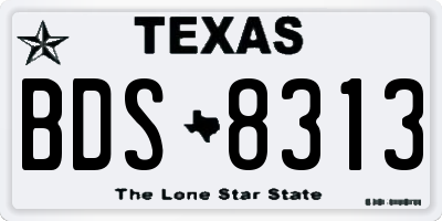 TX license plate BDS8313