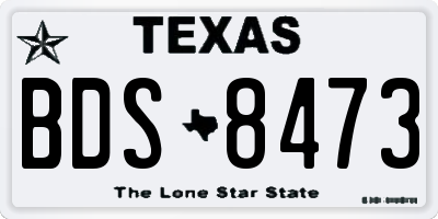 TX license plate BDS8473