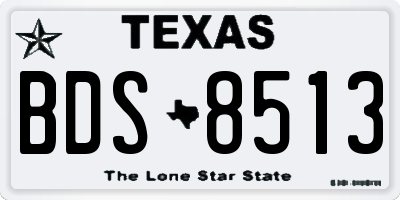 TX license plate BDS8513