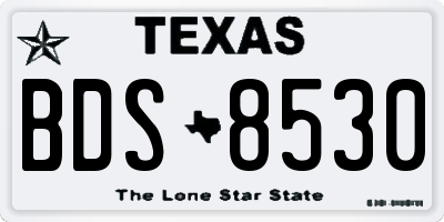 TX license plate BDS8530