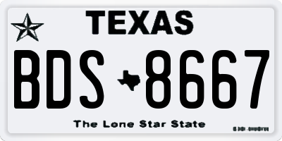 TX license plate BDS8667
