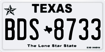 TX license plate BDS8733