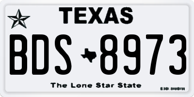 TX license plate BDS8973