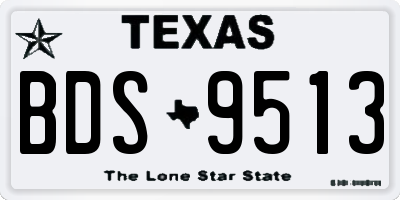 TX license plate BDS9513