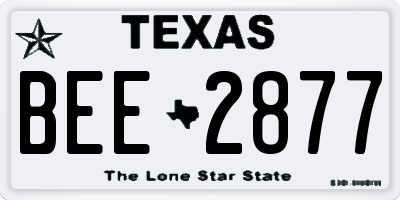 TX license plate BEE2877
