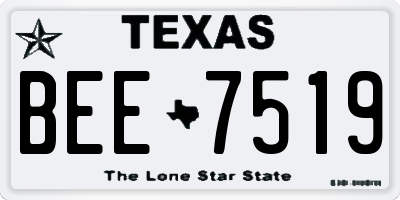 TX license plate BEE7519