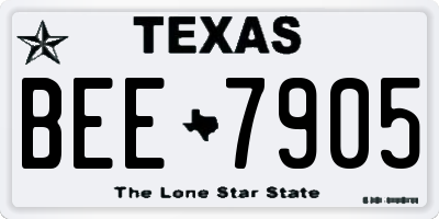 TX license plate BEE7905