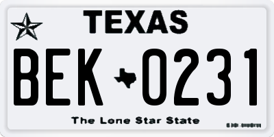 TX license plate BEK0231