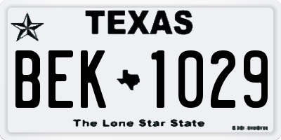 TX license plate BEK1029