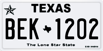 TX license plate BEK1202
