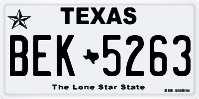 TX license plate BEK5263