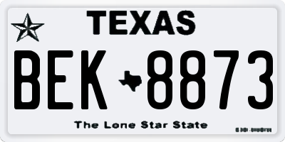 TX license plate BEK8873