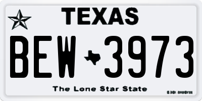 TX license plate BEW3973