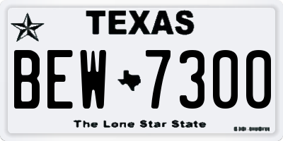 TX license plate BEW7300
