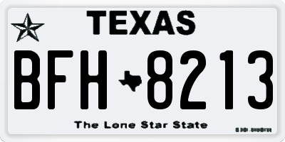 TX license plate BFH8213