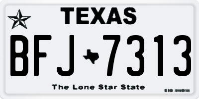 TX license plate BFJ7313