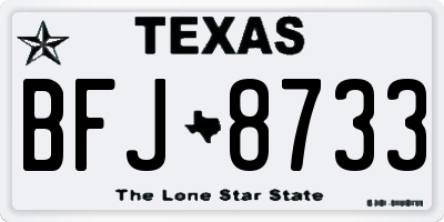 TX license plate BFJ8733
