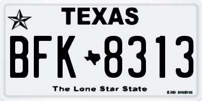 TX license plate BFK8313
