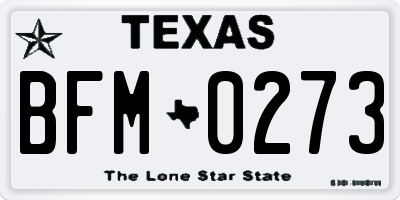 TX license plate BFM0273