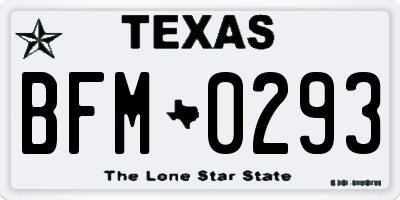 TX license plate BFM0293