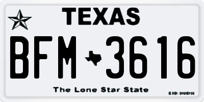 TX license plate BFM3616
