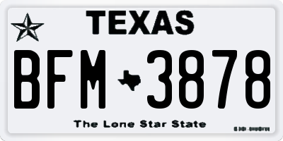 TX license plate BFM3878