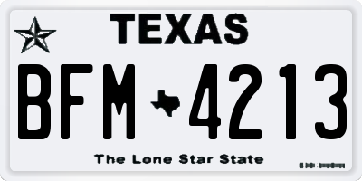 TX license plate BFM4213