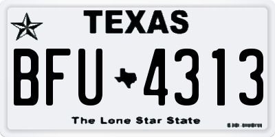 TX license plate BFU4313