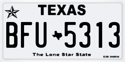 TX license plate BFU5313