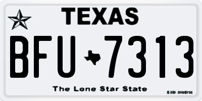 TX license plate BFU7313