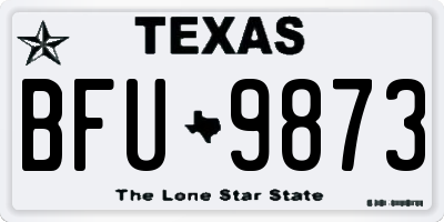 TX license plate BFU9873