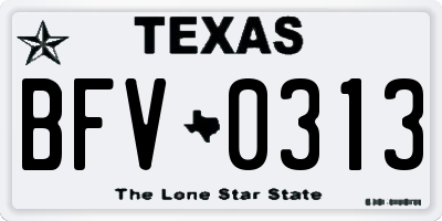 TX license plate BFV0313
