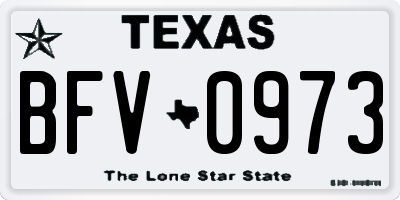 TX license plate BFV0973