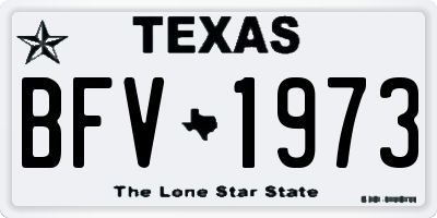 TX license plate BFV1973