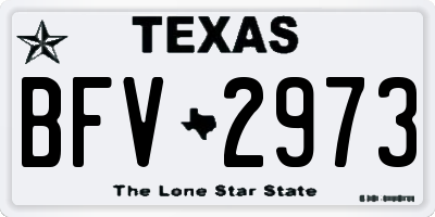 TX license plate BFV2973