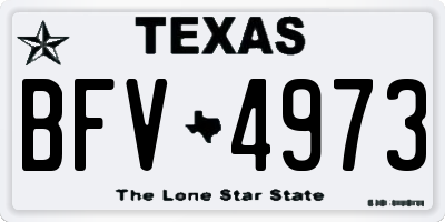 TX license plate BFV4973