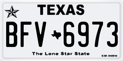 TX license plate BFV6973