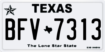 TX license plate BFV7313