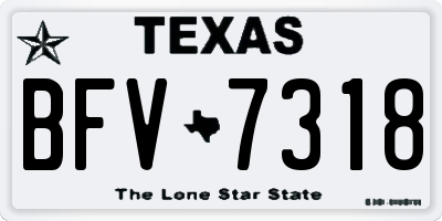 TX license plate BFV7318