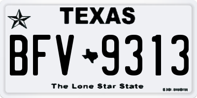 TX license plate BFV9313
