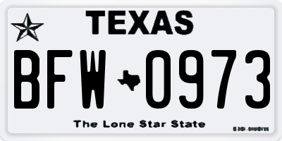 TX license plate BFW0973