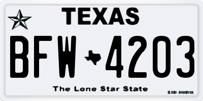 TX license plate BFW4203