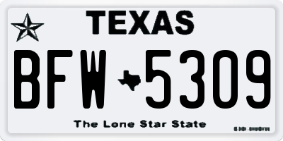 TX license plate BFW5309