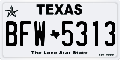 TX license plate BFW5313