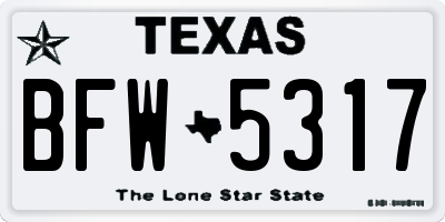 TX license plate BFW5317
