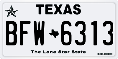 TX license plate BFW6313