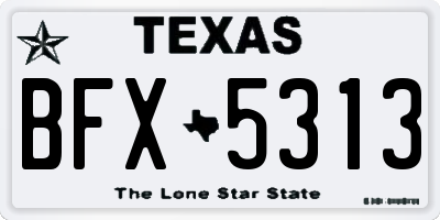 TX license plate BFX5313