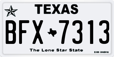 TX license plate BFX7313