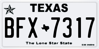 TX license plate BFX7317